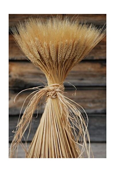 ivy dizayn Doğal Başak 50'Li Demet