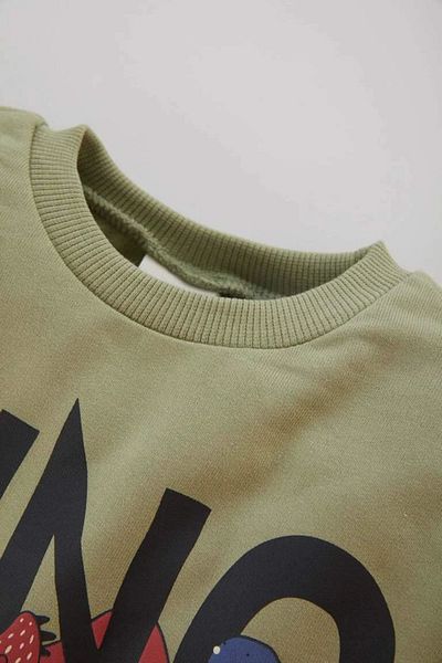 DeFacto Baby Boy Dinosaur printed μαλακό γούνινο φούτερ - Crew Neck C2484a524sp