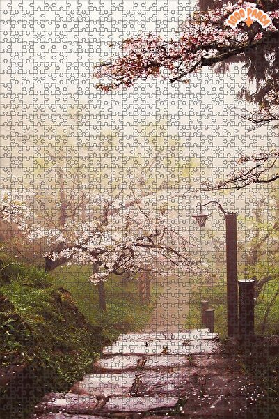 Teona Ahşap Japonya Kiraz Ağaçlı Bahçe Dekoratif Çift Katlı Çerçeveli Asılabi...