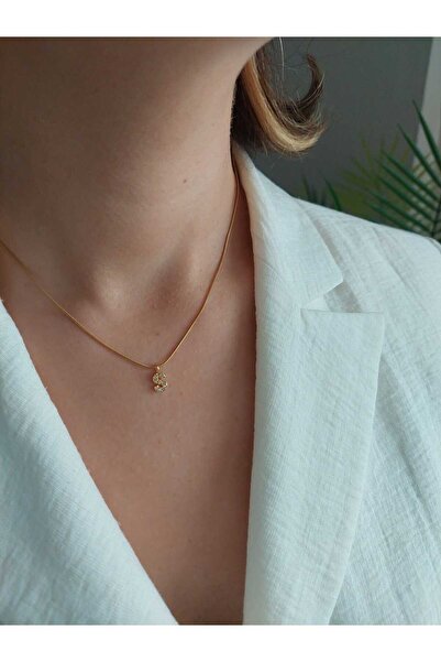 LUCKY ACCESSORIES Çelik zirkon Taşlı Harf Kolye S Harfi