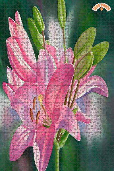 Teona Ahşap Tomurcuklu Pembe Zambak Dekoratif Çift Katlı Çerçeveli Asılabilir...