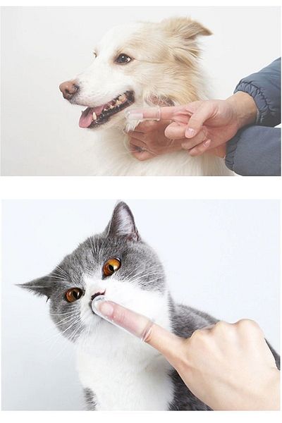 Vi Caro 2 Pieces Silicone Cat And Dog Toothbrush Pet Tooth Care Brush