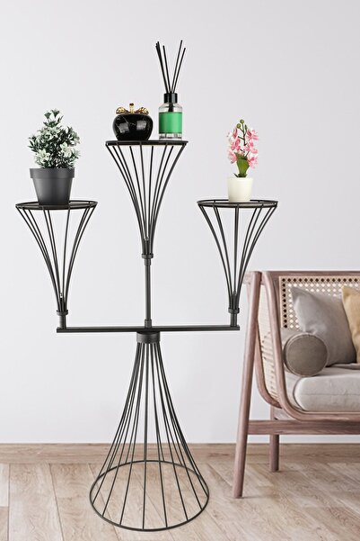 Begüsa Dimitri 3.Lü Saksılık Siyah