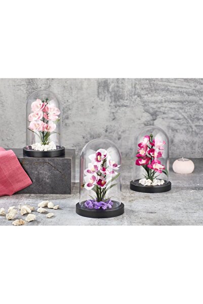 HEYBENİDOLDUR Cam Görünümlü Fanus Içinde Yapay Çiçek Orkide Teraryum (ASORTİ)...