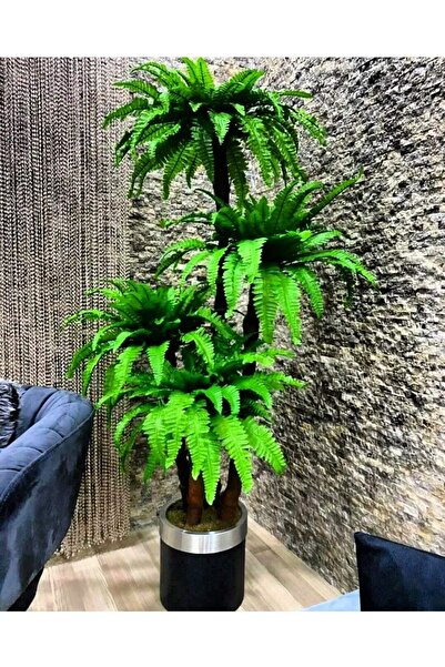 İremÇiçekçilik Metal Siyah Gümüş Saksıda 170 Cm Yoğun Yapraklı Fujer Aşk Merd...