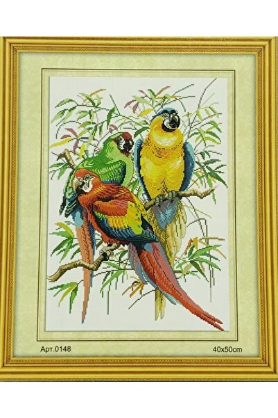 Genel Markalar Goblen Etamin Işleme Seti 40x50 Cm 148