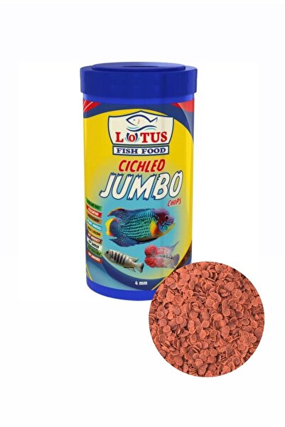 Lotus Cichlid Jumbo Chips 100gr Poşette