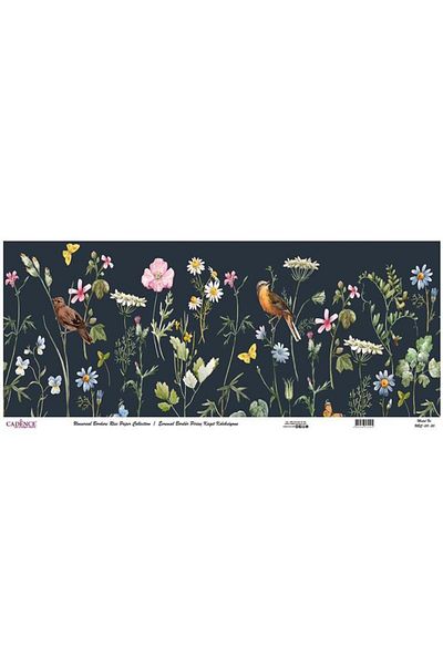 Cadence Universal Border Brass Paper Collection Ubc-011