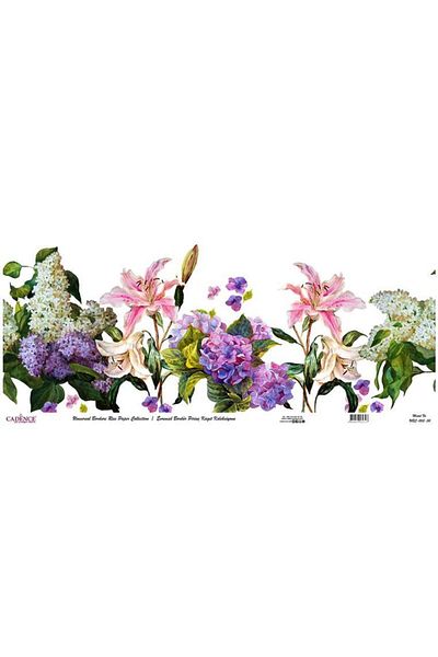 Cadence Universal Border Brass Paper Collection Ubc-003