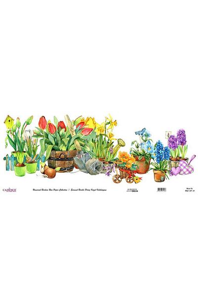 Cadence Universal Border Brass Paper Collection Ubc-027