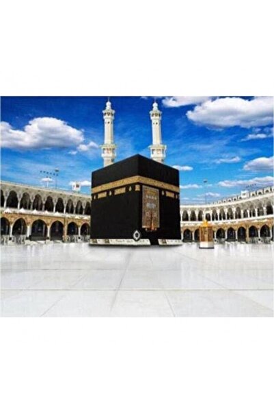 Pastelya Sayılarla Boyama Seti Çerçeveli Kasnaklı Seti Kabe 50 X 65 Cm