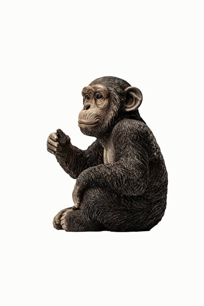 Nadidehomedesing Oturan Maymun Biblosu (Maymun Heykeli, El yapımı Heykel, Ofi...
