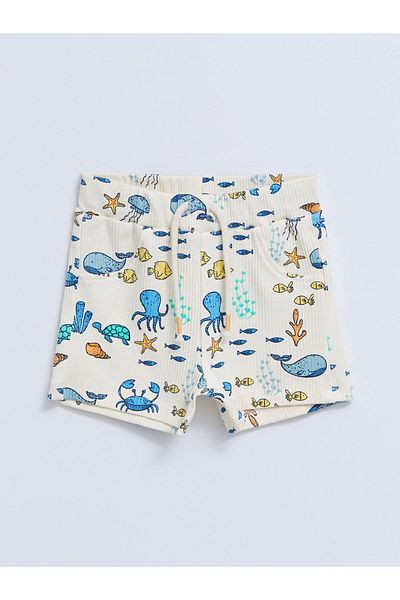 LC Waikiki Bottom, Nibal2 (S2)