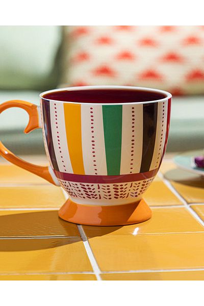 English Home New Exotic Strip Bone China Mug - Colorful