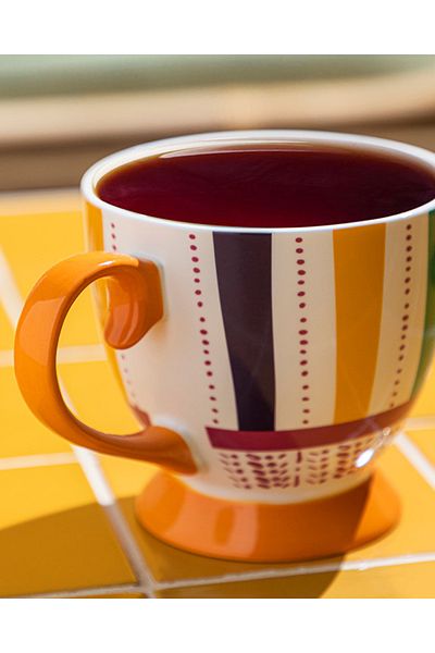 English Home New Exotic Strip Bone China Mug - Colorful