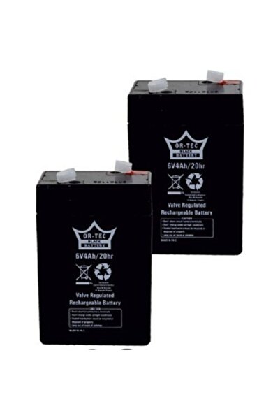 ORTEC 6 Volt 4 Ah
