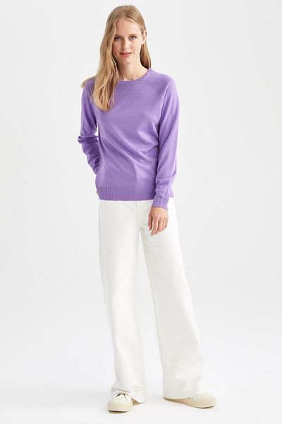DeFacto Pullover mit Rundhalsausschnitt und entspannter Passform Tyc00550319260