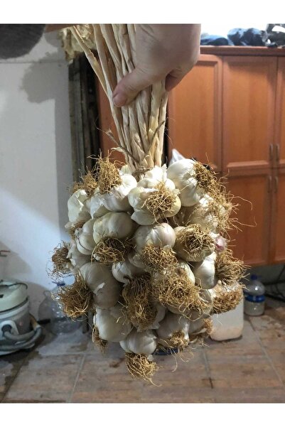 ABAYOĞLU TARIM HAYVANCILIK Sarımsağı El Bağı 1 Kg