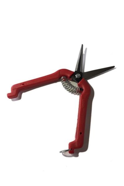HRY Fruit Picking Scissors