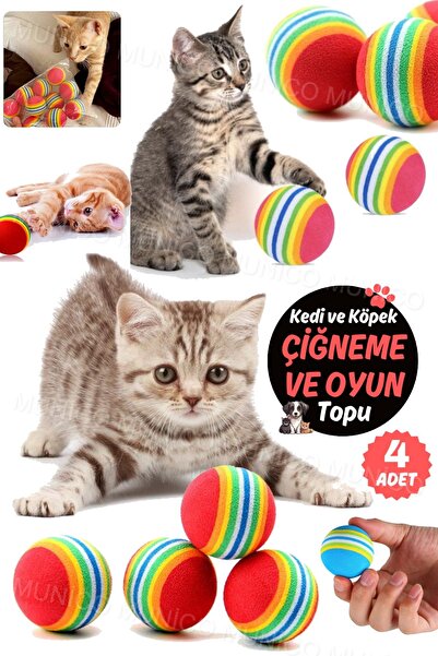 Munico 4 Adet Yavru Top Gökkuşağı Renkleri Hiçbir Koku Katı Kabarık Kapalı Ak...