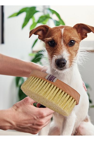 Efsoon Organics Multi-Purpose Brush - Cat Dog Scratching Cleaning, Sink, Carpet