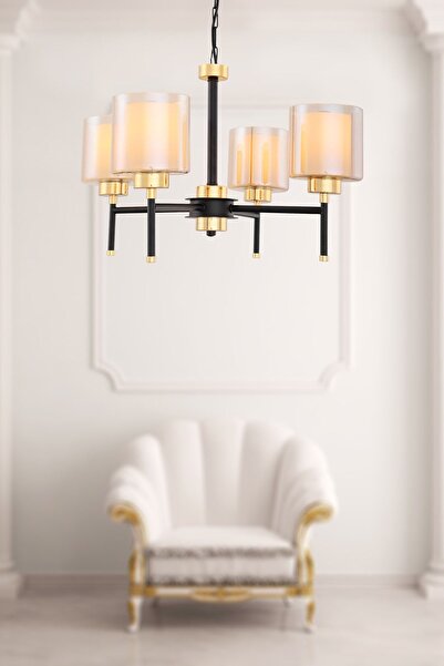 Begüsa Zemheri 4.lü Siyah