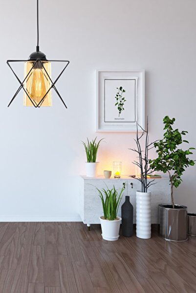 Begüsa Modes Tekli Siyah-bal Akrilik