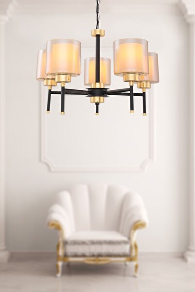 Begüsa Zemheri 5.li Siyah