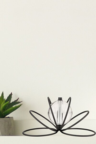 Begüsa Erbil Metal Camlı Aksesuar Siyah