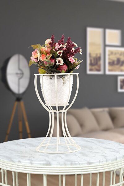 Begüsa Anafor Saksılık Beyaz 25 Cm Şeffaf Saksı Hediyeli