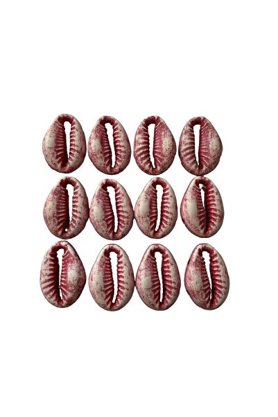 e tuhafiye 6 Pieces of Large Size Seashell Accessories with Stands