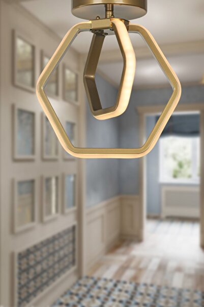 Begüsa Alena 3 Renk Ledli Tavan Montaj Tekli Avize Eskitme