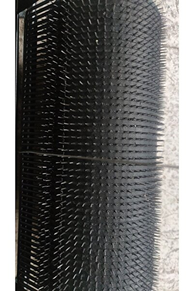 Felipe Borras 1esp Dip Yerden Zeytin Toplama Makinesi Manuel