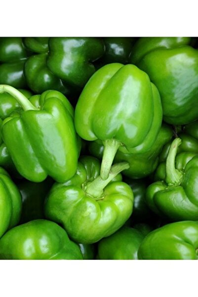 Köy Tohumları 150 Adet Tohum Organik Yeşil Tatlı Dolma Biber Dolmalık Biber T...