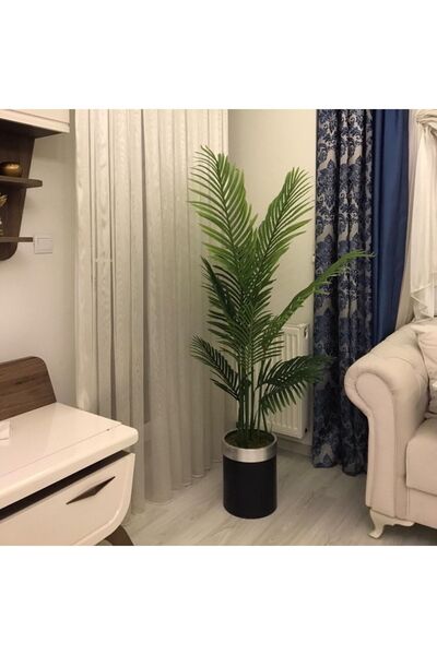 İremÇiçekçilik Siyah Gümüş Metal Saksıda 150 Cm Islak Dokulu 1. Kalite Tusem ...