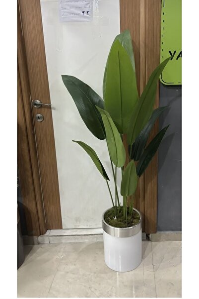 İremÇiçekçilik Beyaz Gümüş Metal Saksıda 150 Cm Starliçe Cennet Kuşu Yapay Ağaç