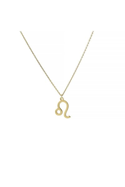 In Love Aslan Burcu Gümüş Kolye Burç Kolye Inlove Gümüş Burçlar Gümüş Renk