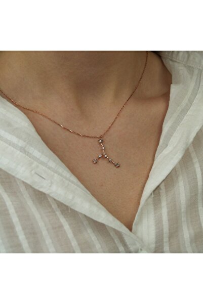 In Love Boğa Burcu Gümüş Kolye Yıldız Haritasına Göre