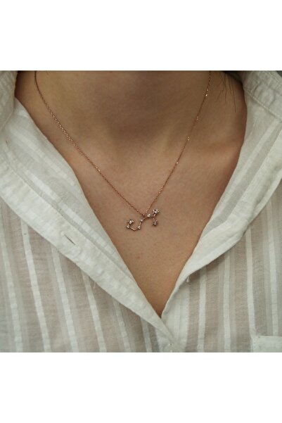 In Love Akrep Burcu Gümüş Kolye Yıldız Haritasına Göre