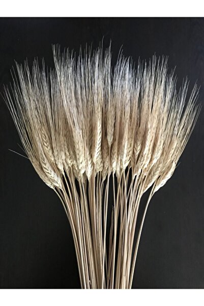 Lalezar Kurutulmuş Şoklanmış Başak Demeti – Yapay Çiçek Dekor, Masa Süsü, Fon