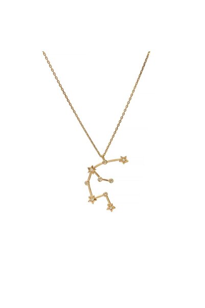 In Love Kova Burcu Gümüş Kolye In Love Gümüş Kolye