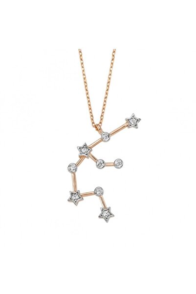 In Love Kova Burcu Gümüş Kolye