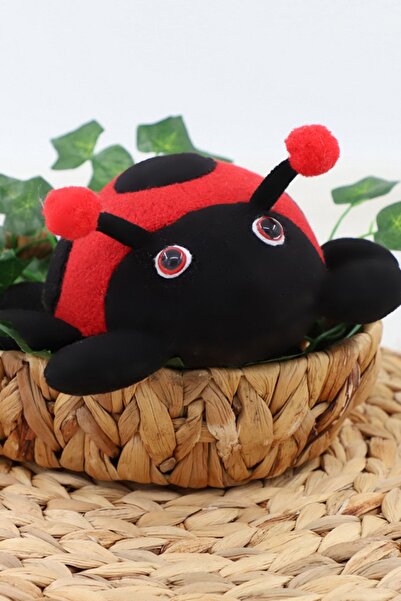 Anatoya Polar Tosbik Uğur Böceği