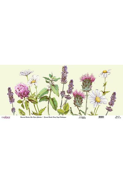 Cadence Universal Border Brass Paper Collection Ubc-019