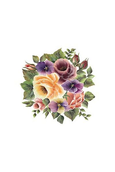Cadence Xl02 35x50 Rose Land