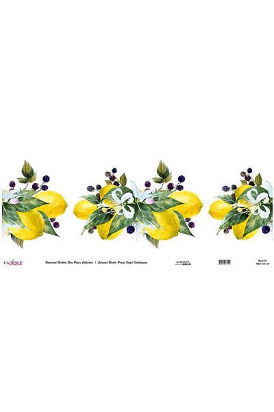 Cadence Universal Border Brass Paper Collection Ubc-026