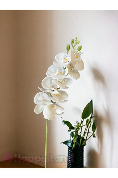 Happyland Orkide Gerçekçi Doku Yapay Çiçek Beyaz 1 Dal