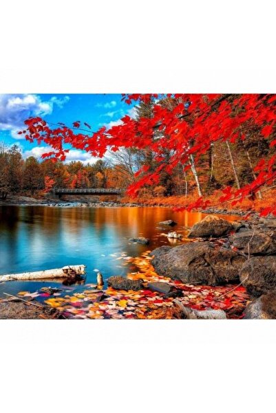 Pastelya Sayılarla Boyama Seti Çerçeveli Kasnaklı Art Sonbaharın Güzelliği 50...