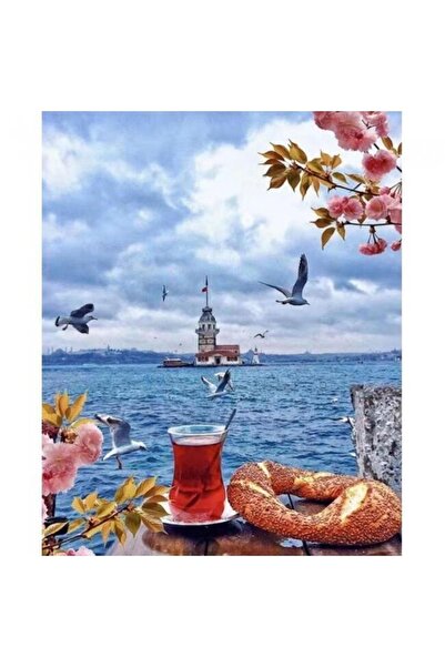 Pastelya Sayılarla Boyama Seti Çerçeveli Kasnaklı Üsküdar Da Çay Simit 50 X 6...