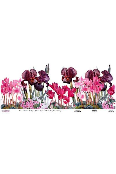 Cadence Universal Border Brass Paper Collection Ubc-001
